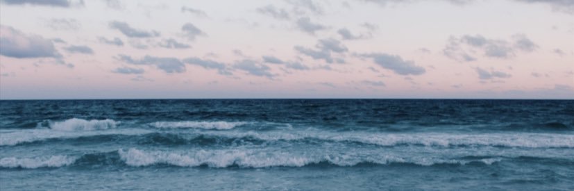 emilyschep's profile banner image