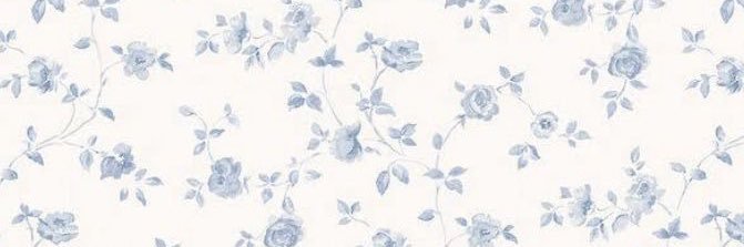 aymeebroome's profile banner image