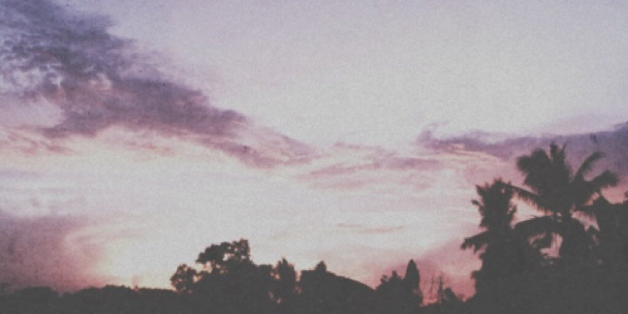 pickingpetals's profile banner image