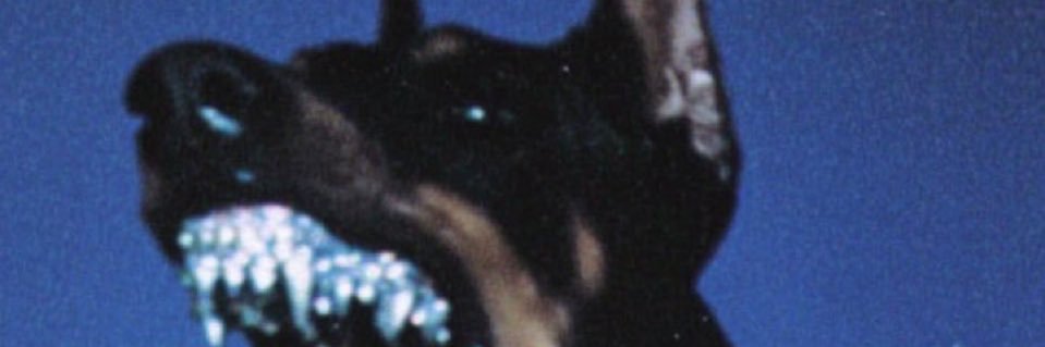 adripofl3an's profile banner image