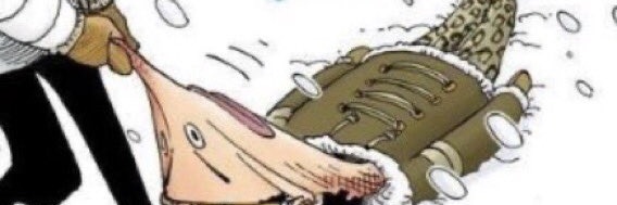 laiaum's profile banner image