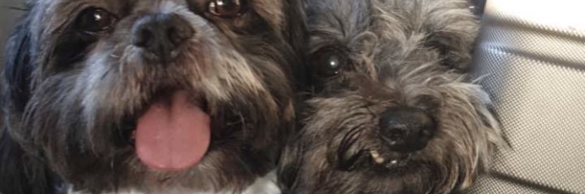 dcraigster's profile banner image