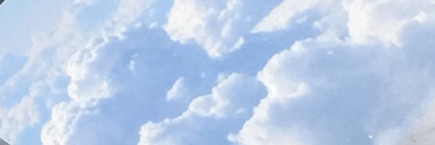 florianaflo's profile banner image