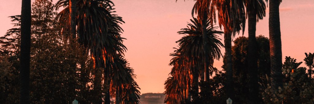 alisonprejean's profile banner image
