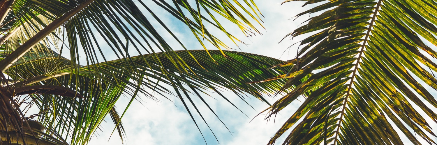 LisaBZawacki's profile banner image