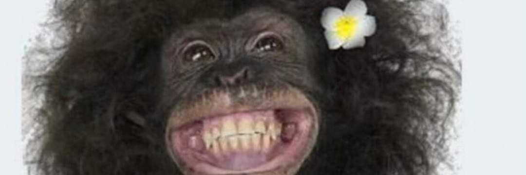 SeanGhanbari's profile banner image
