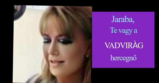 eva56hun's profile banner image