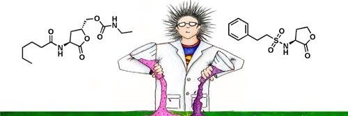 chemmypro's profile banner image