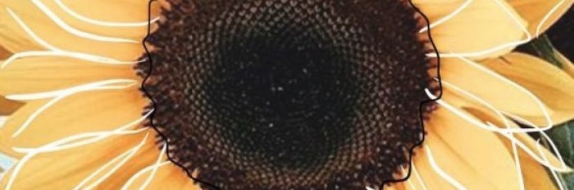 taryn607's profile banner image