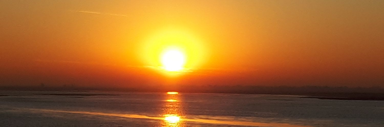 Gabriel Durelli banner