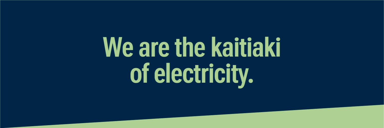 Electricity Authority Te Mana Hiko banner