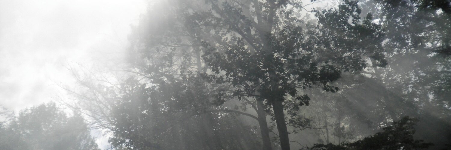 chey_pope's profile banner image