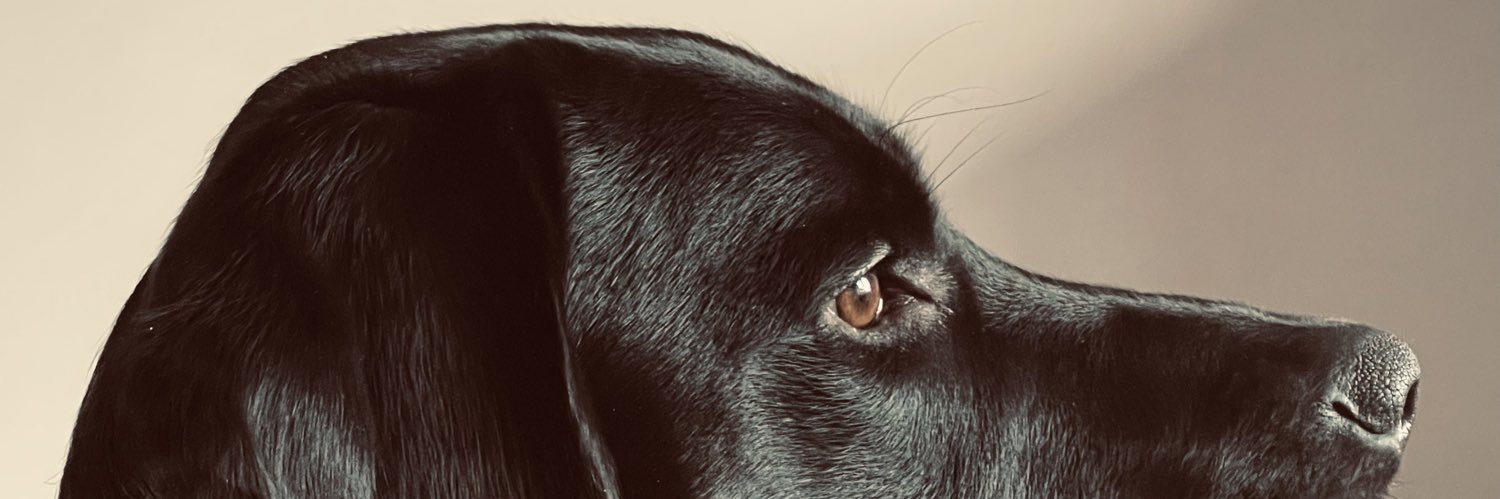 Sianie_'s profile banner image