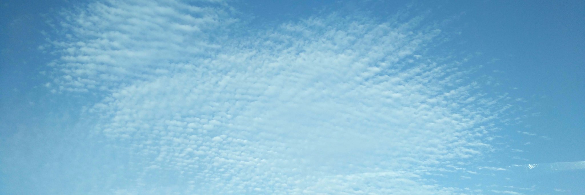 Nelebka's profile banner image