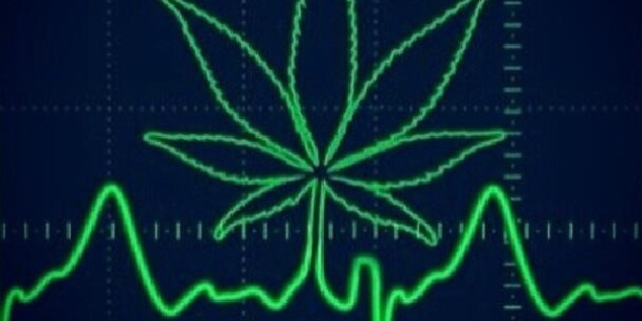 yoda_four20's profile banner image