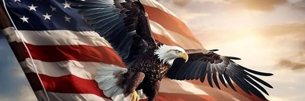 STARFORCEHH Profile Banner