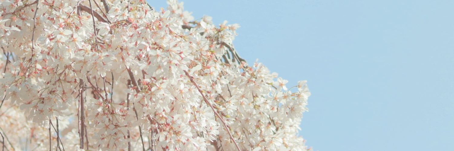 such0502's profile banner image