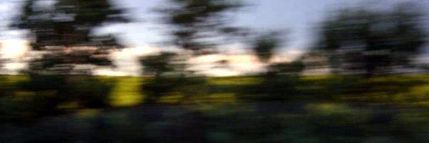 Stacey_McIntyre's profile banner image