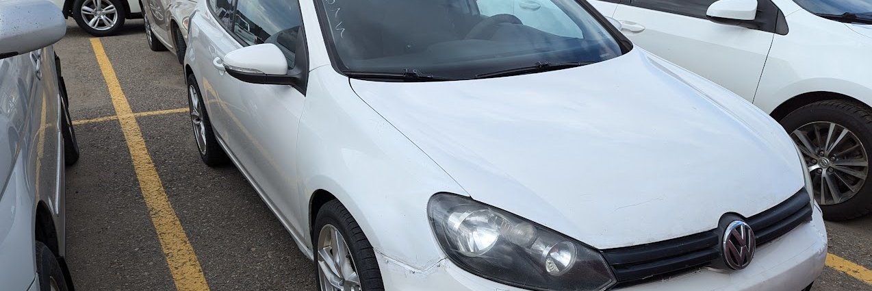 elnbunny.com banner