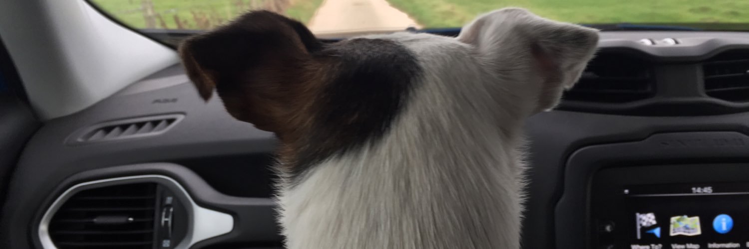 veritymanners's profile banner image