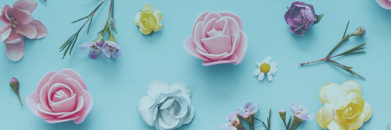 mintbailey's profile banner image