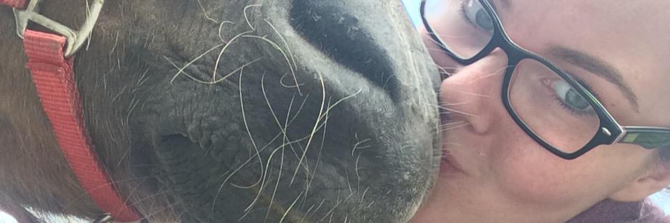 wilsoe11's profile banner image