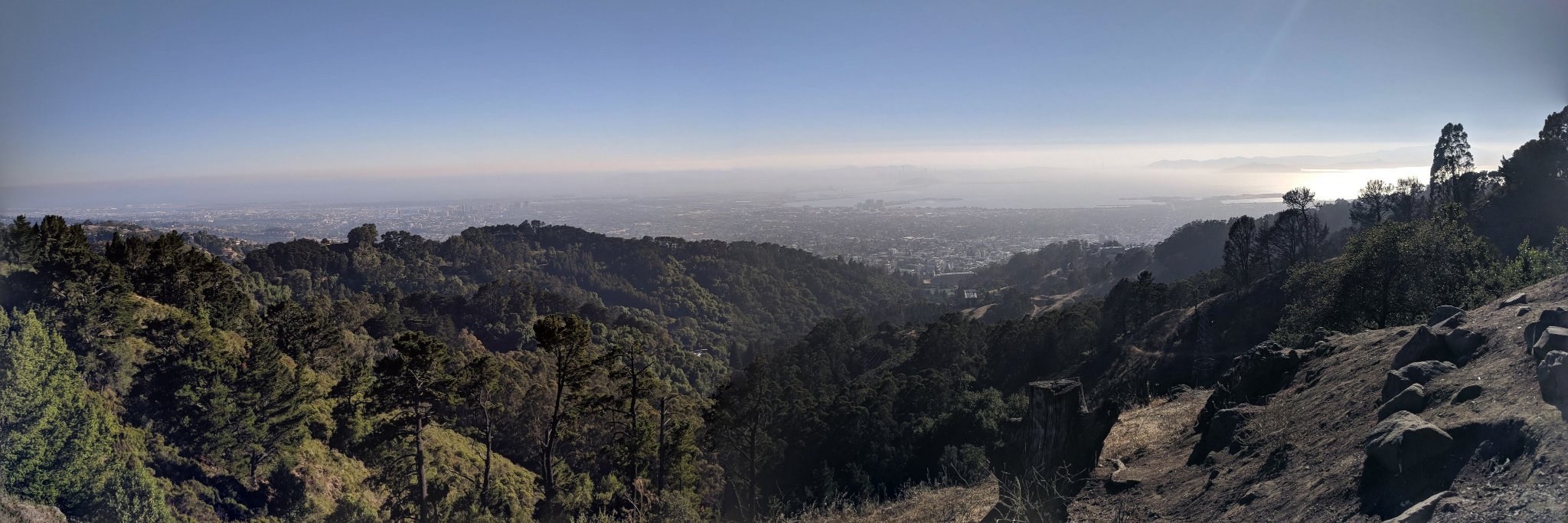 Dana Paige Seidel, PhD banner