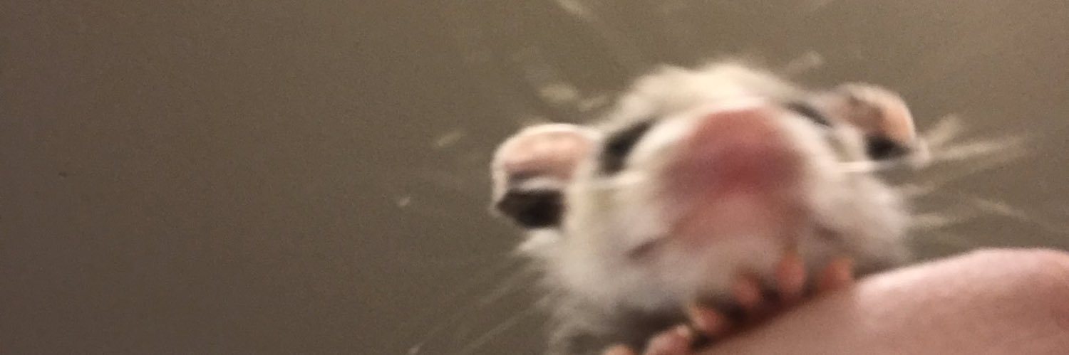 smallw3bs's profile banner image