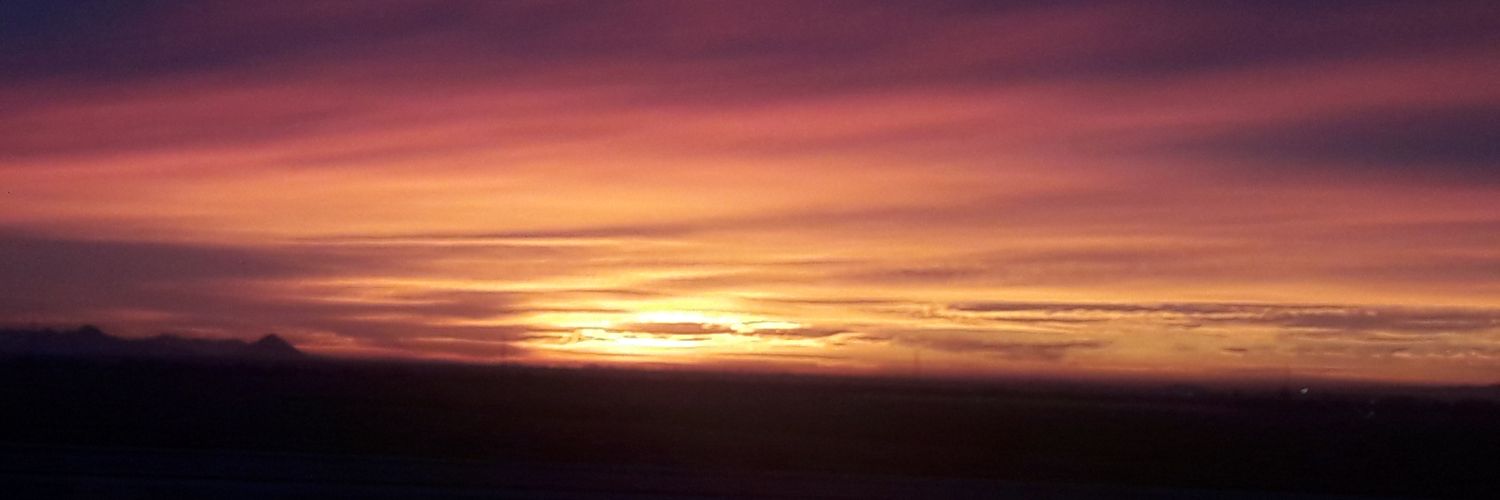 wisegal951's profile banner image