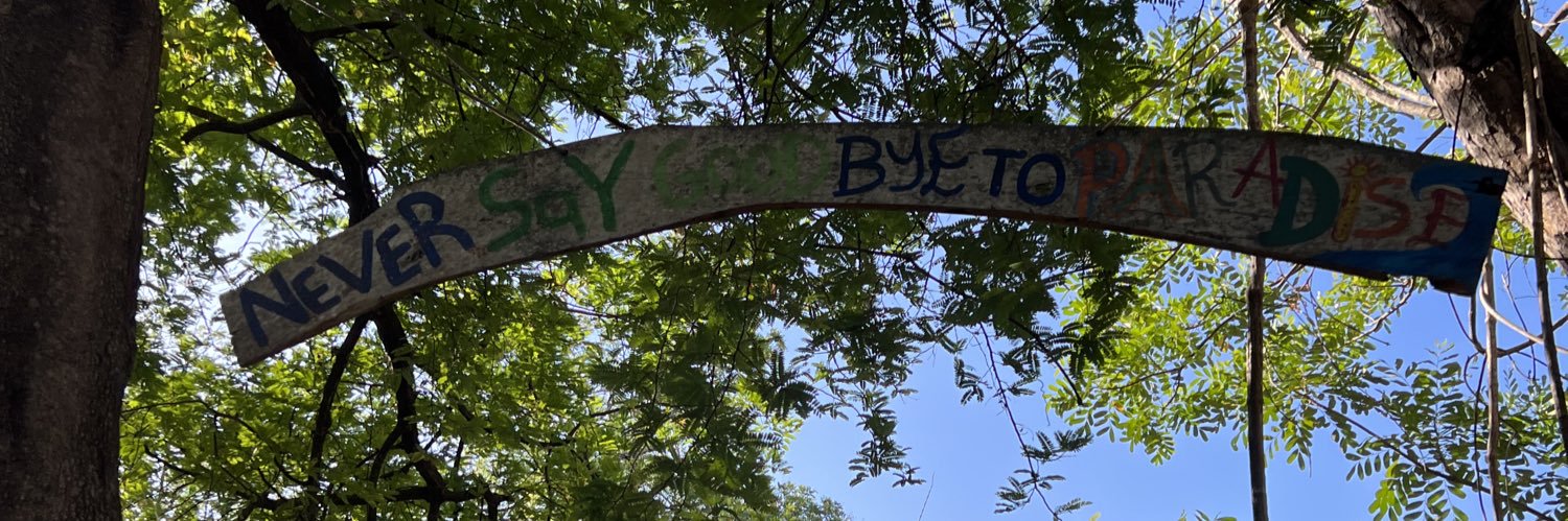 Shaina Braun✨ banner