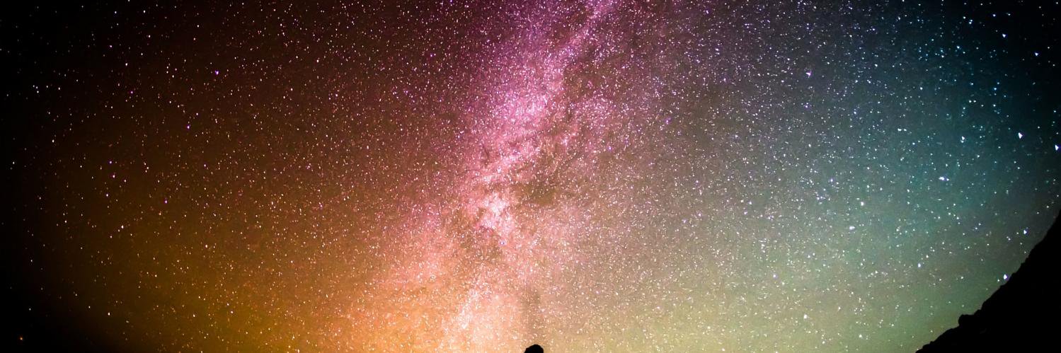 Svanborg Sigmarsd banner