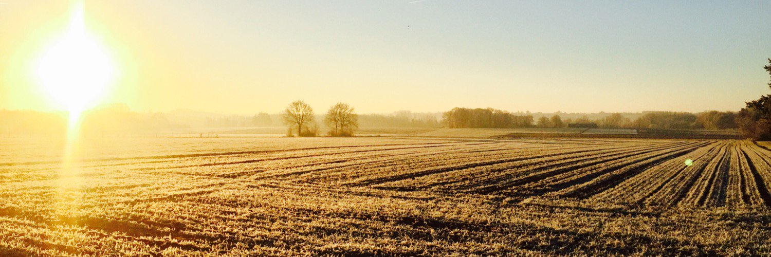 Vincent Nijs Profile Banner