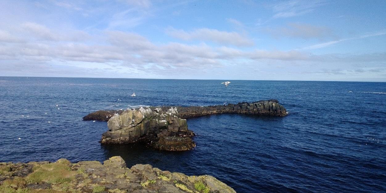 A. B. Bergsson banner