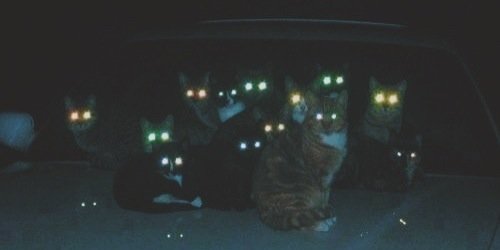 edenkraszka's profile banner image