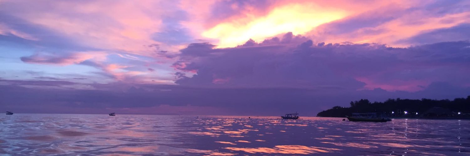 VHursti's profile banner image