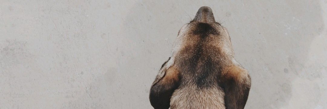 viniclusx's profile banner image