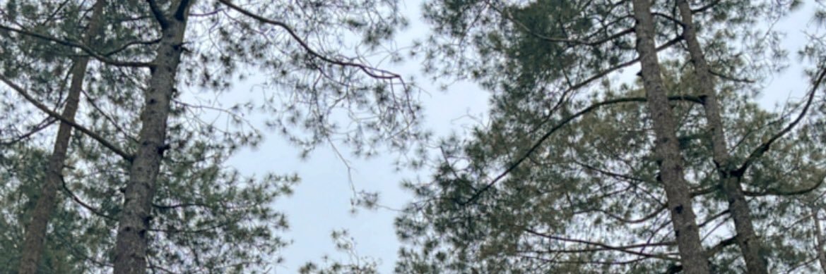 taufikh_98's profile banner image