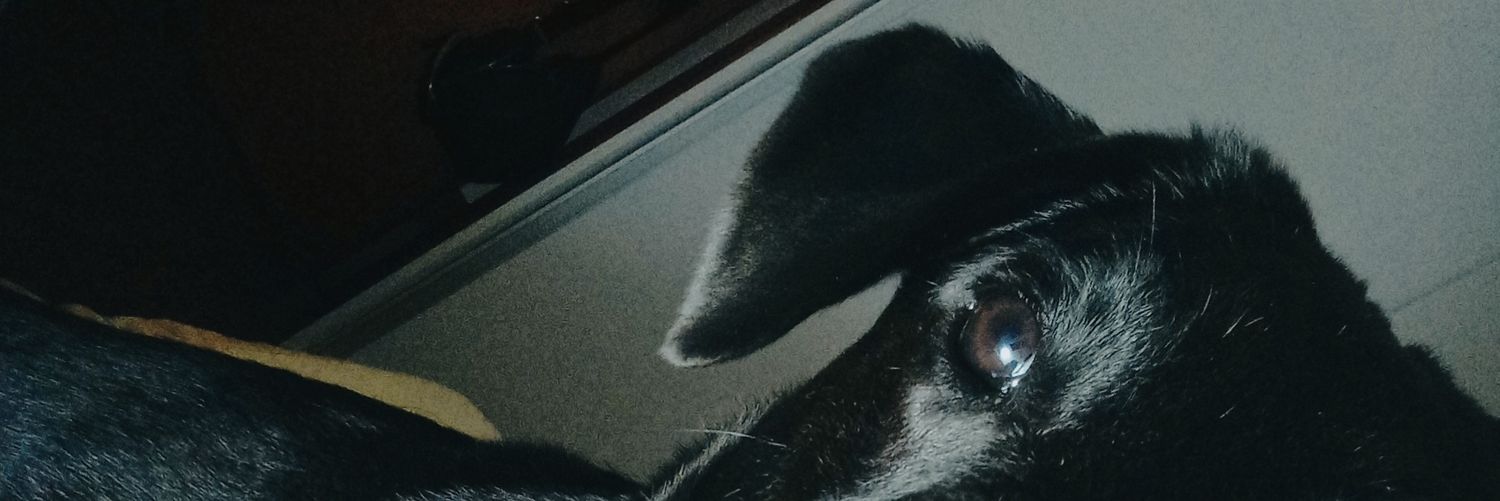 rubiamufa's profile banner image