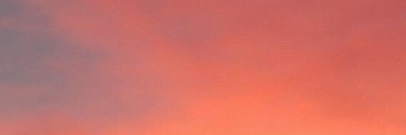 twisabel's profile banner image