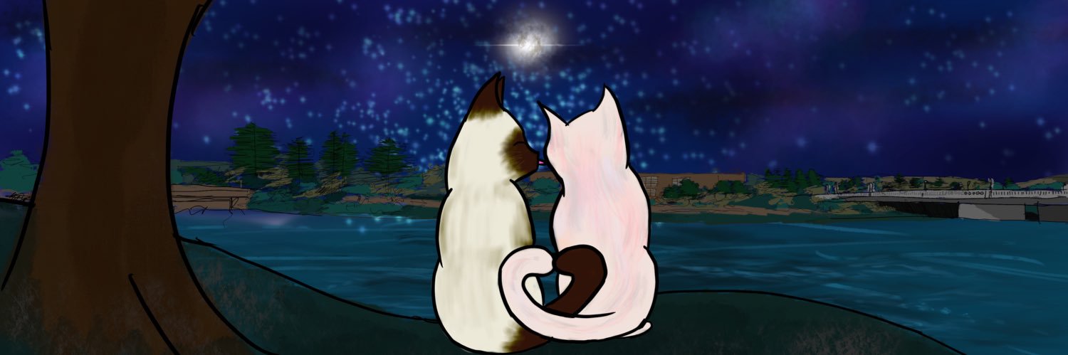 fisueroa's profile banner image