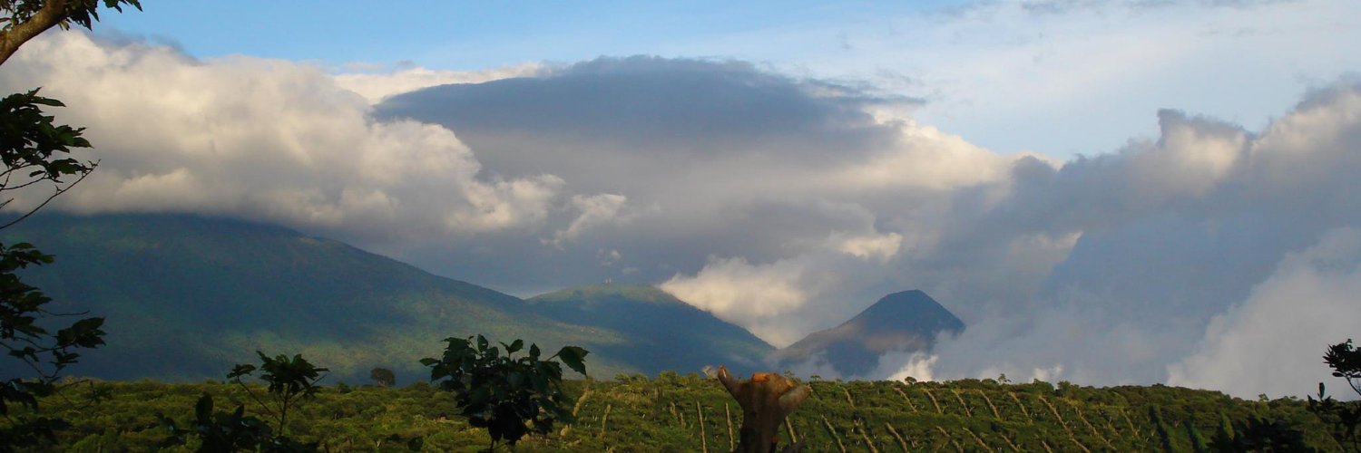 MorenoRaulo's profile banner image