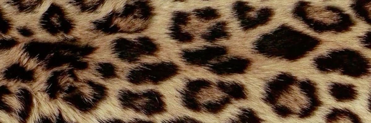 baddieceeeee's profile banner image