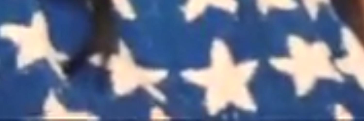 sashaimmorality's profile banner image