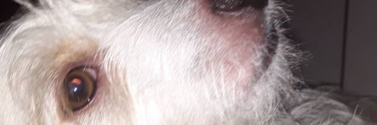 brunabeauti's profile banner image