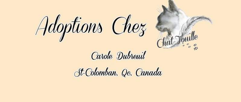 ChezChattouille's profile banner image
