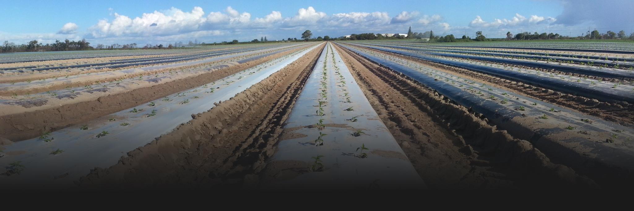 Hydrox Technologies banner