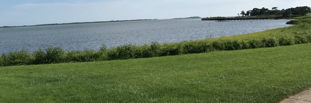 jdintz's profile banner image