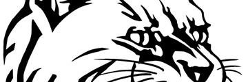mrallisterscott's profile banner image