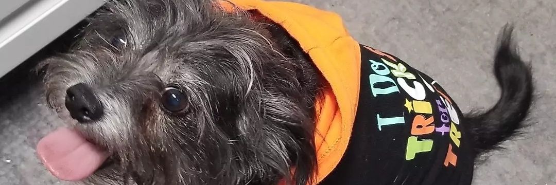 followergramme's profile banner image