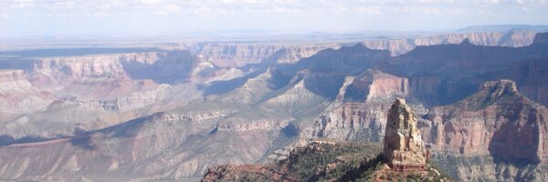 almaffioli Profile Banner